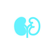 handheld portable ultrasound device application left kidney